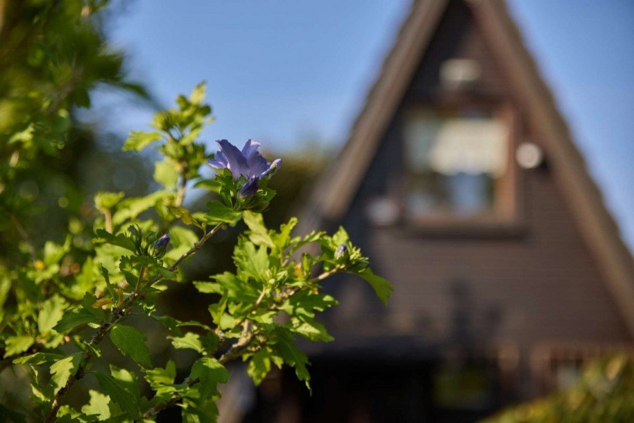 Au�enansicht Ferienhaus Meschede