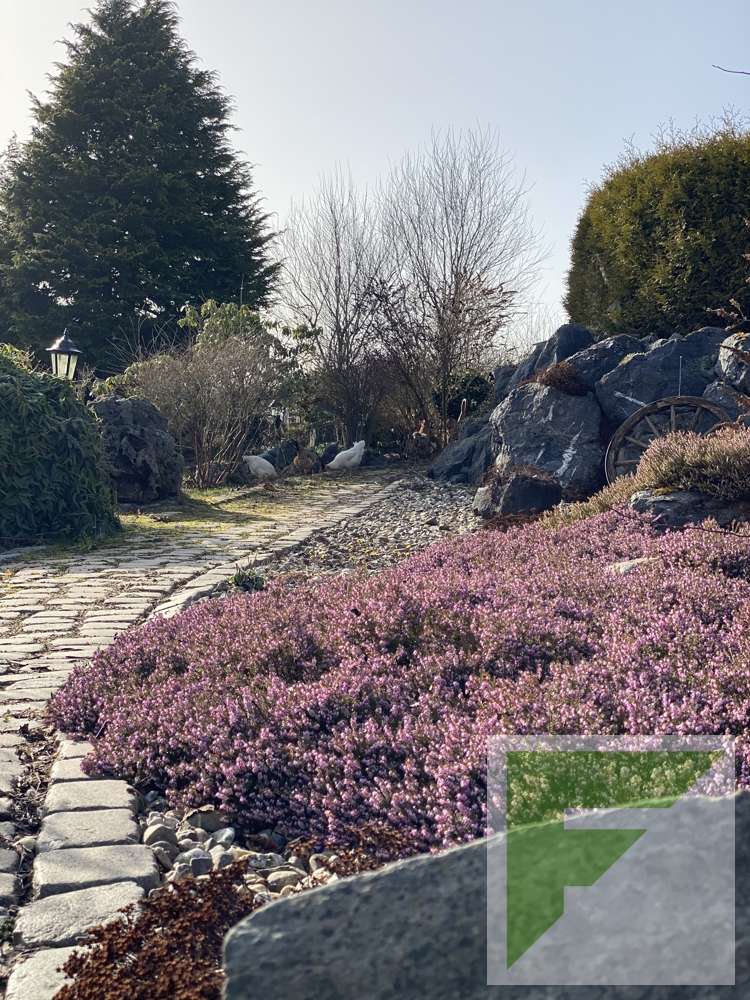 Garten Einfamilienhaus Bestwig / Grimlinghausen