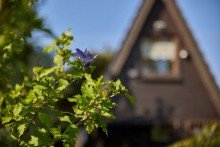 Au�enansicht Ihr R�ckzugsort mitten in der Natur - charmantes Nurdachhaus am Waldrand