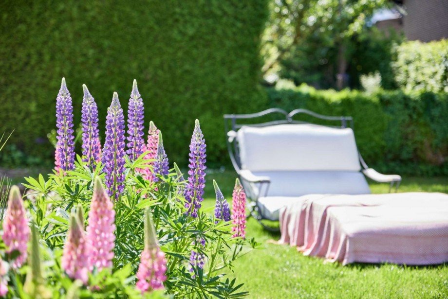Garten Einfamilienhaus Bestwig