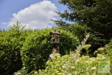Au�enaufnahme Idyllisches Ferienhaus im Sauerland