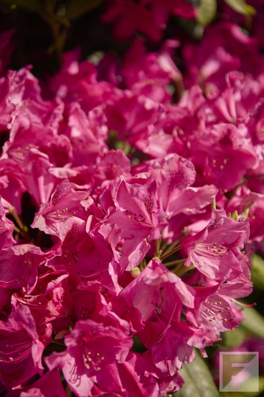 Foto Einfamilienhaus Meschede