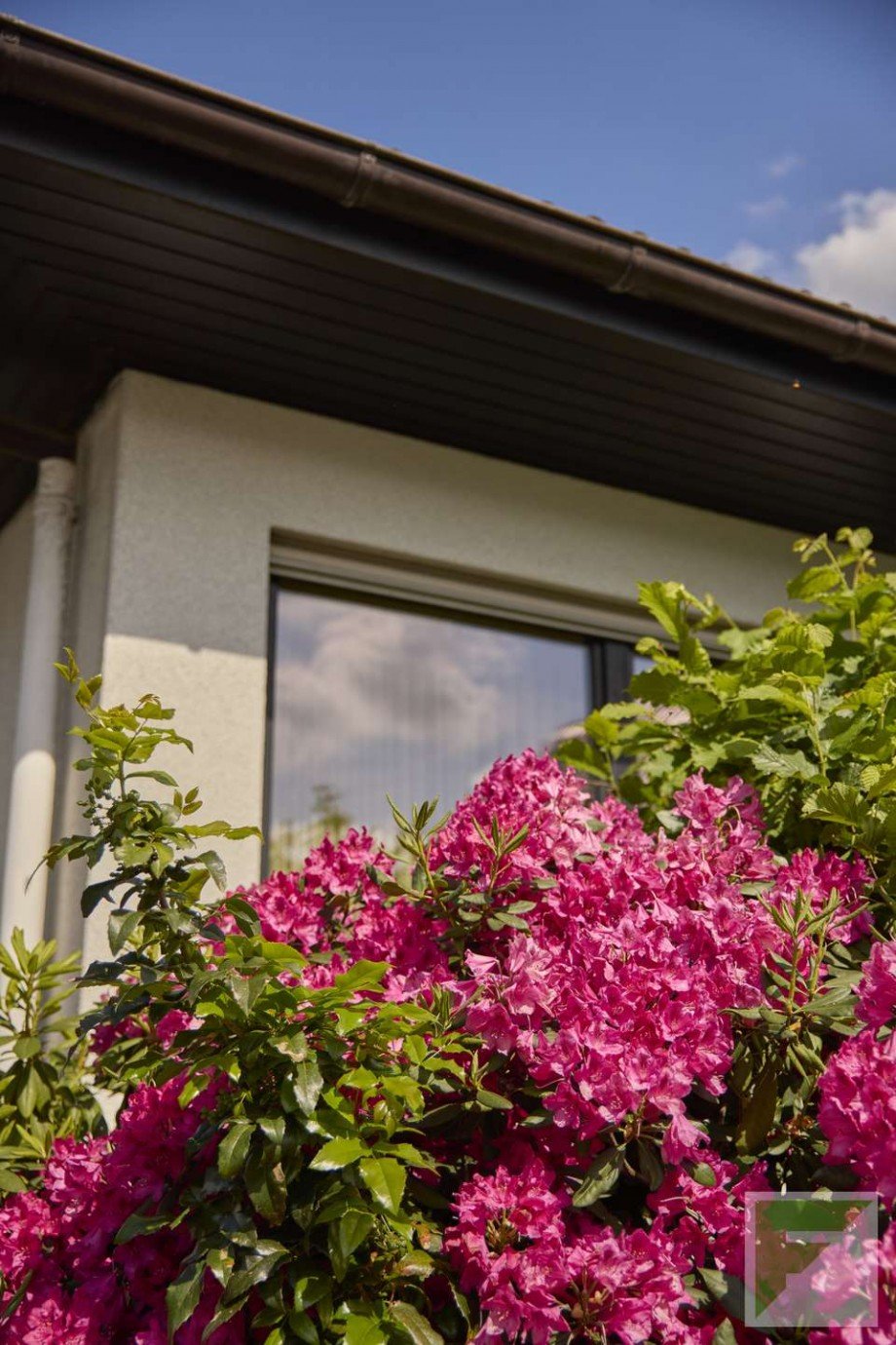 Foto Einfamilienhaus Meschede