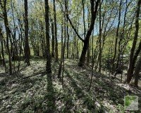 Bild (e57a426d6f807260688cd861accada5b): Freizeitgrundst�ck mit Bachlauf in Bestwig-Ramsbeck