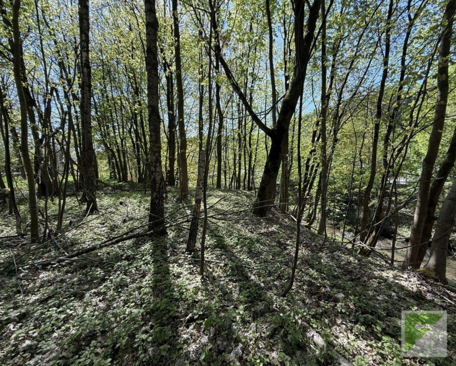  Freizeitgrundst�ck Bestwig